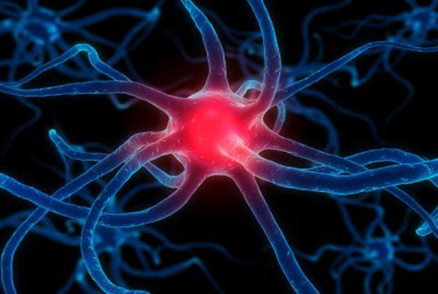 Parkinsonsis a degenerative disorder of the central nervous system. It results from the death of dopamine-generating cells in the substantia nigra, a region of the midbrain; the cause of cell-death is unknown.